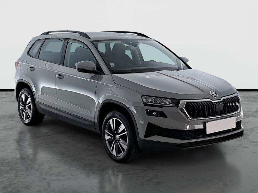 Škoda Karoq, 2022