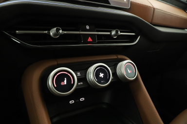 Škoda Kodiaq - 2024