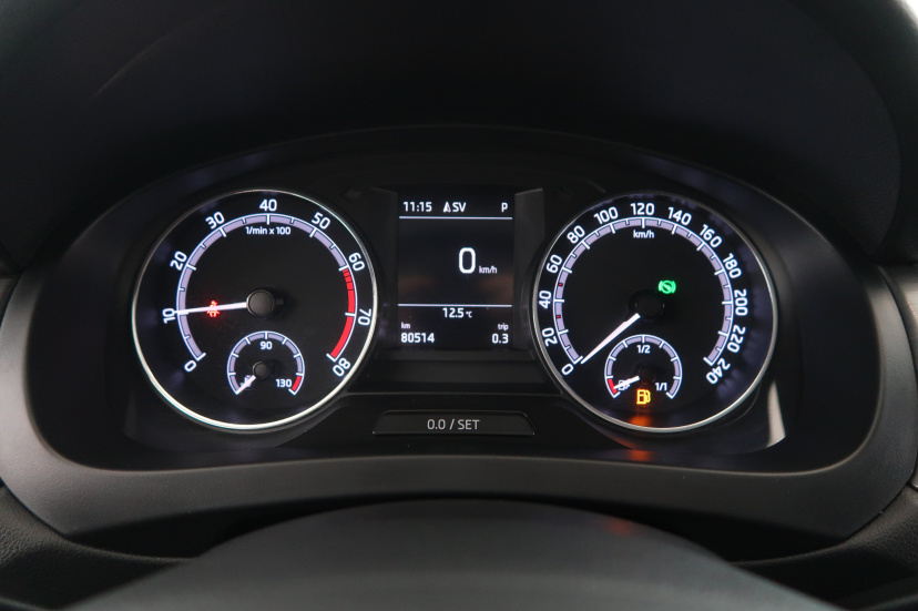 Škoda Rapid, 2019