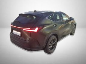 Lexus NX - 2024