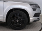 Škoda Karoq, 2020