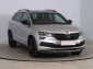 Škoda Karoq, 2020