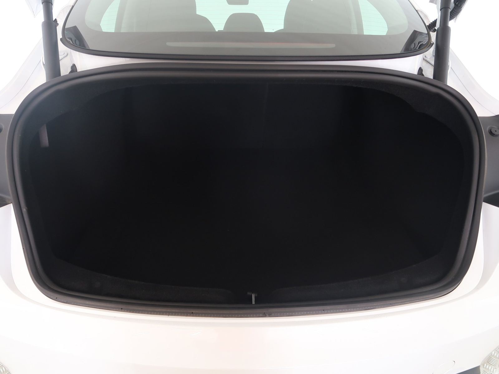 Tesla Model 3 - 2024