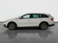 Škoda Octavia Scout, 2021