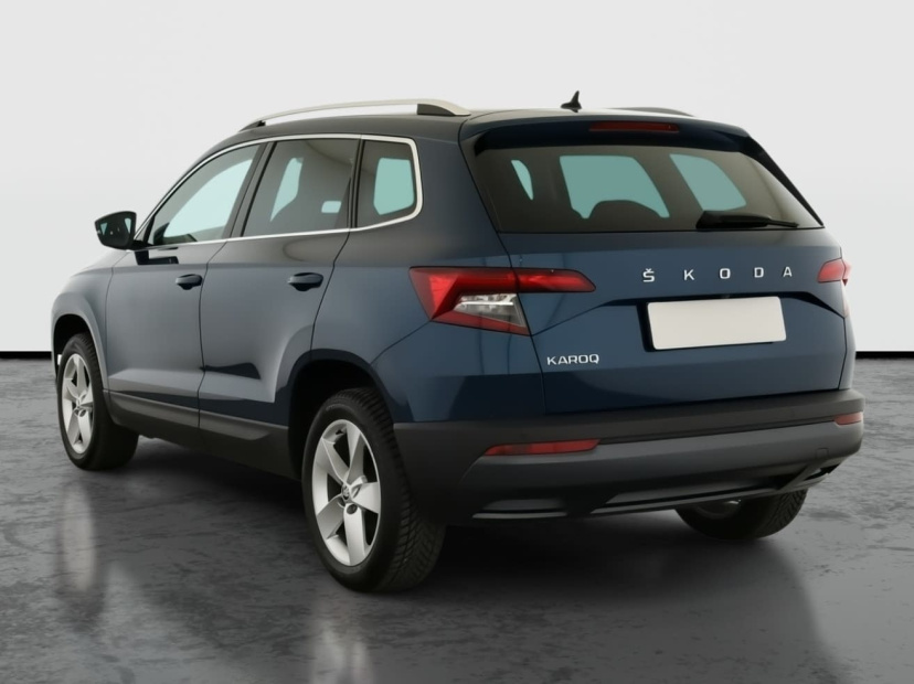 Škoda Karoq, 2019