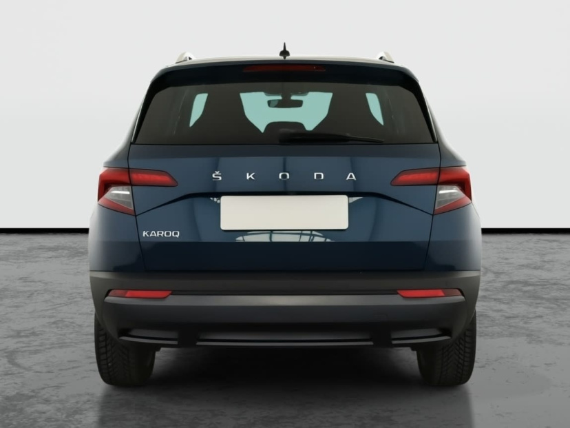 Škoda Karoq, 2019