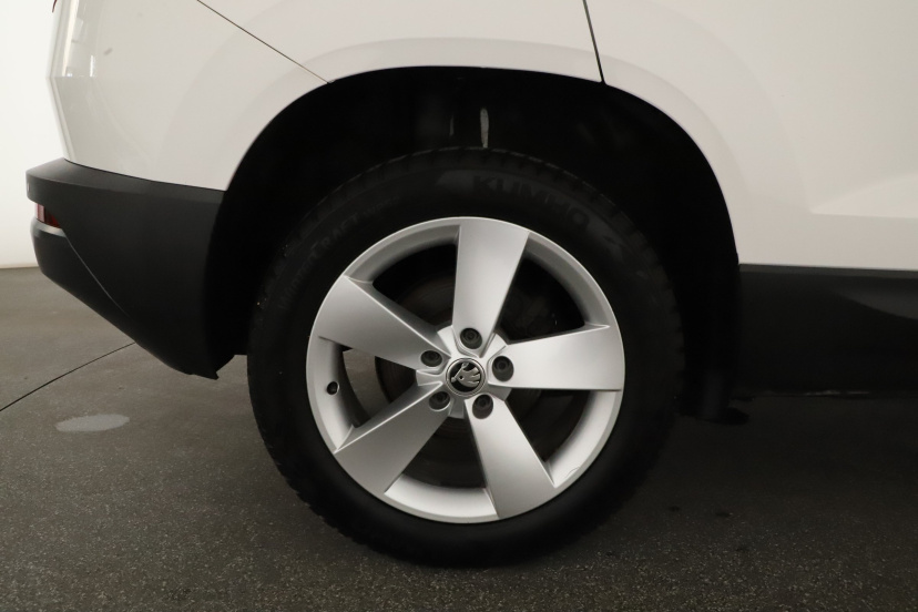 Škoda Karoq, 2019