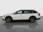 Škoda Octavia Scout, 2019