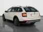 Škoda Octavia Scout, 2019