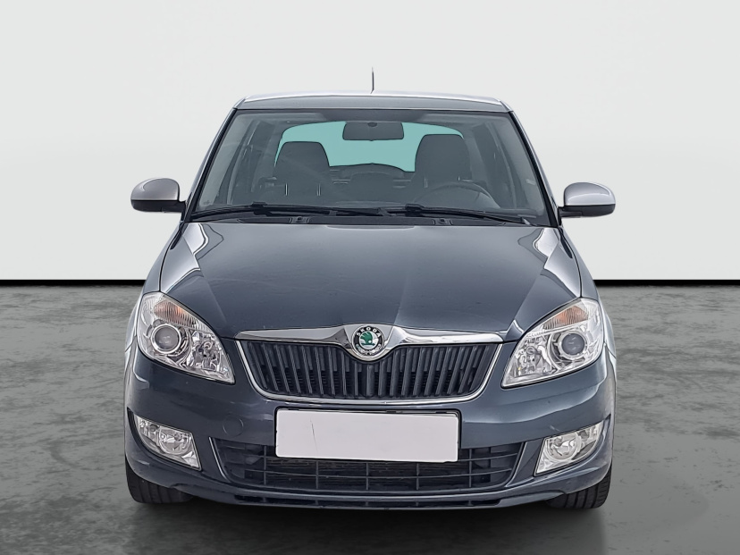 Škoda Fabia, 2010