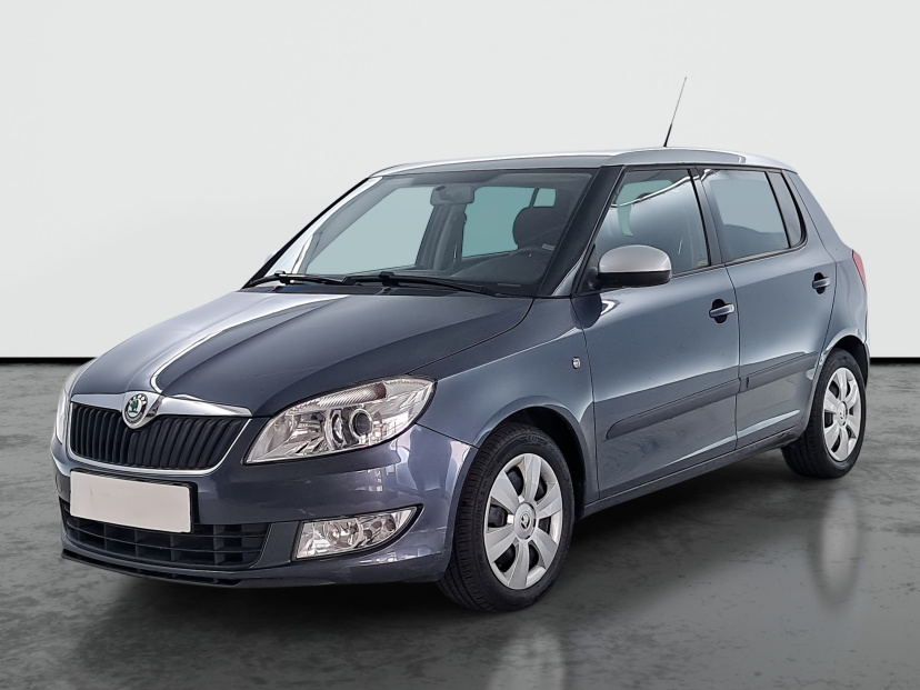 Škoda Fabia, 2010