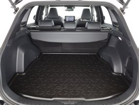 Toyota RAV 4 - 2024