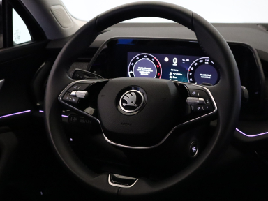 Škoda Kodiaq - 2024