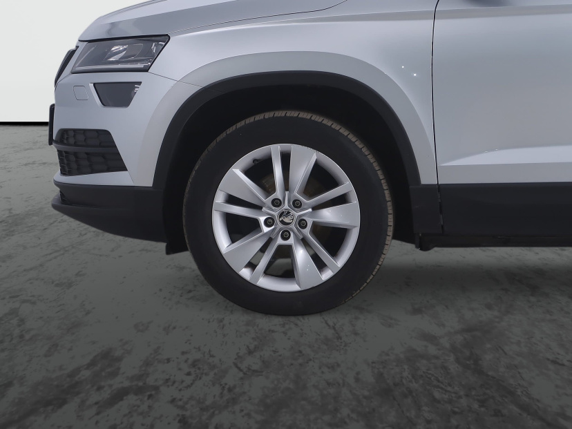 Škoda Karoq, 2020