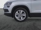 Škoda Karoq, 2020