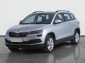 Škoda Karoq, 2020
