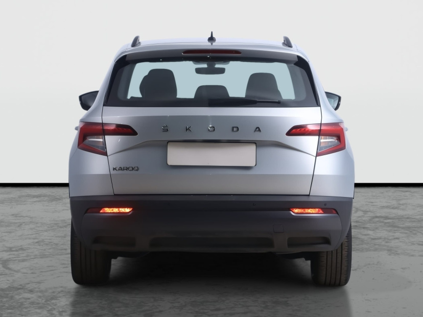 Škoda Karoq, 2020