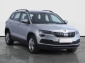Škoda Karoq, 2020