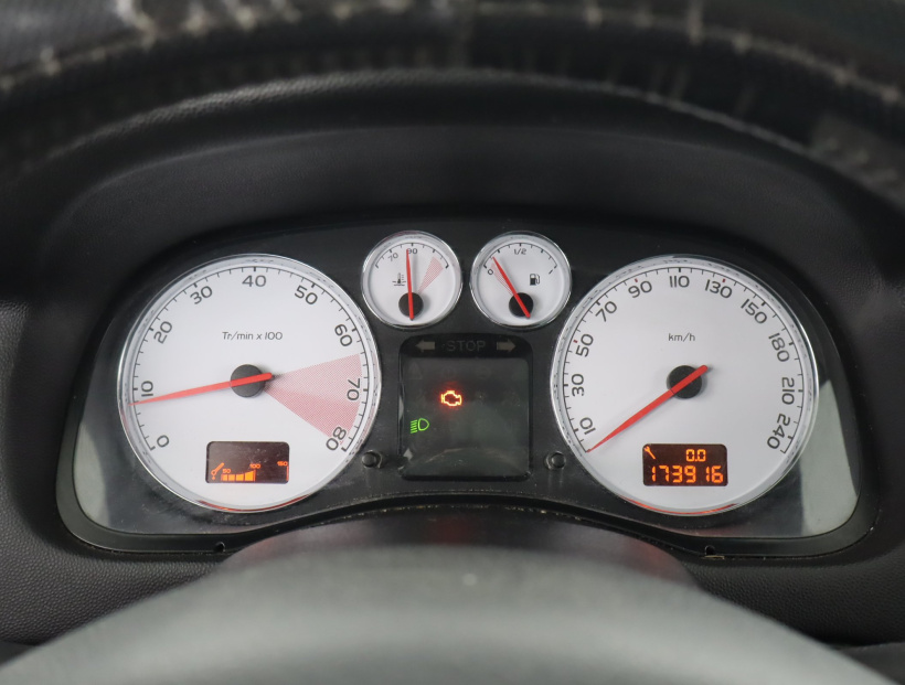 Peugeot 307, 2007