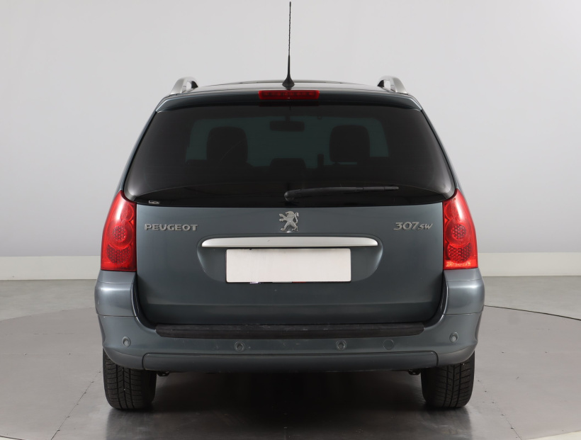 Peugeot 307, 2007