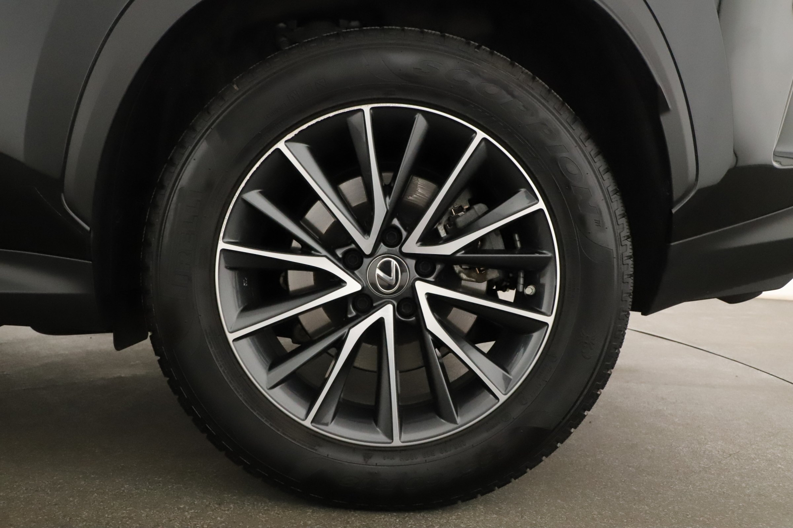 Lexus NX - 2023