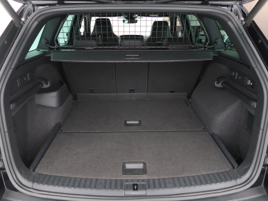Škoda Kodiaq - 2021