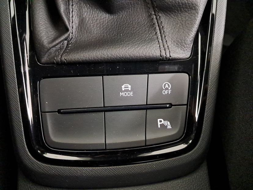 Škoda Kamiq, 2024