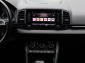 Škoda Karoq, 2020