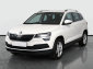 Škoda Karoq, 2020