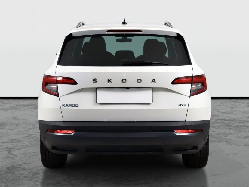Škoda Karoq, 2020