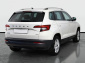 Škoda Karoq, 2020