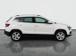 Škoda Karoq, 2020