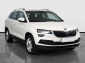 Škoda Karoq, 2020