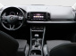 Škoda Karoq, 2020