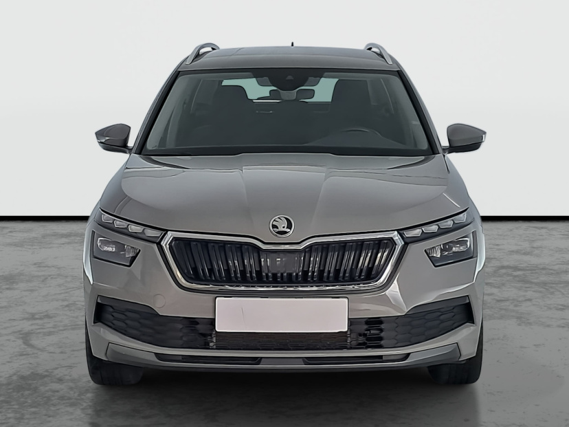 Škoda Kamiq, 2020