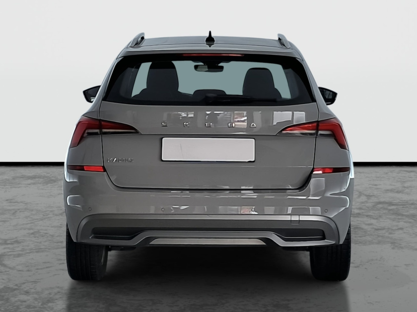 Škoda Kamiq, 2020