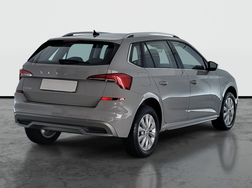 Škoda Kamiq, 2020
