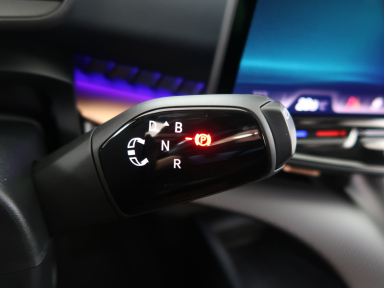 Cupra Tavascan - 2025