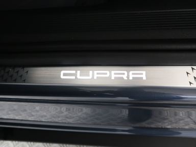 Cupra Tavascan - 2025