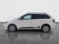 Škoda Fabia, 2019