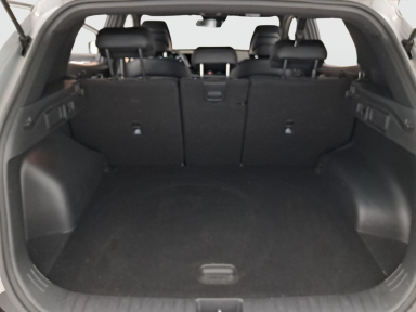 Kia Sportage - 2024