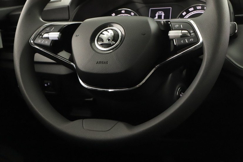Škoda Scala, 2024