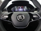 Škoda Fabia, 2024