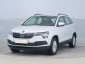 Škoda Karoq, 2019