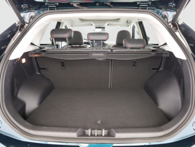 Dongfeng Forthing T5 EVO - 2025