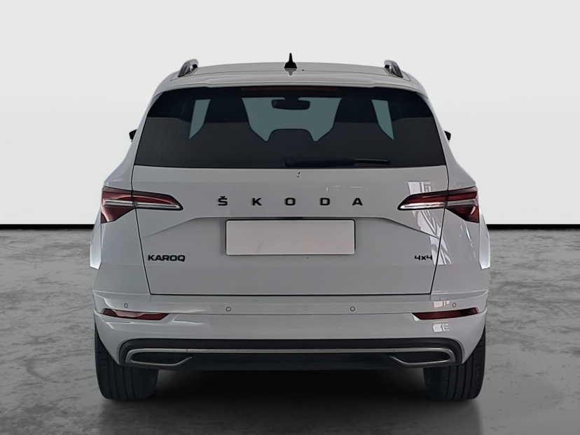 Škoda Karoq, 2023