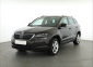Škoda Karoq, 2019