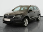 Škoda Karoq, 2019