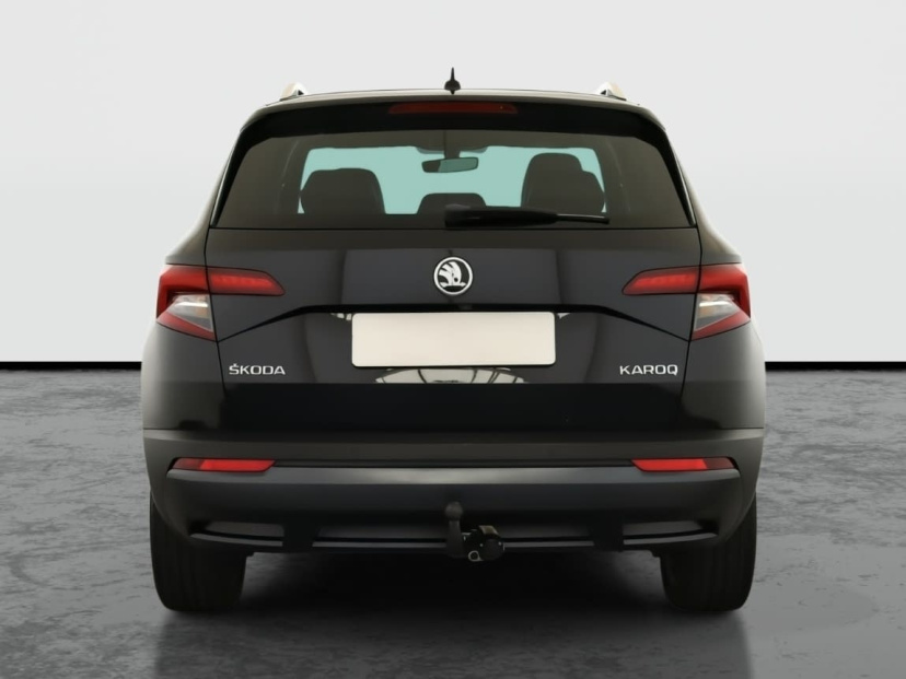 Škoda Karoq, 2019
