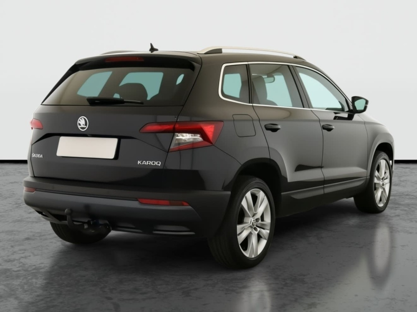 Škoda Karoq, 2019